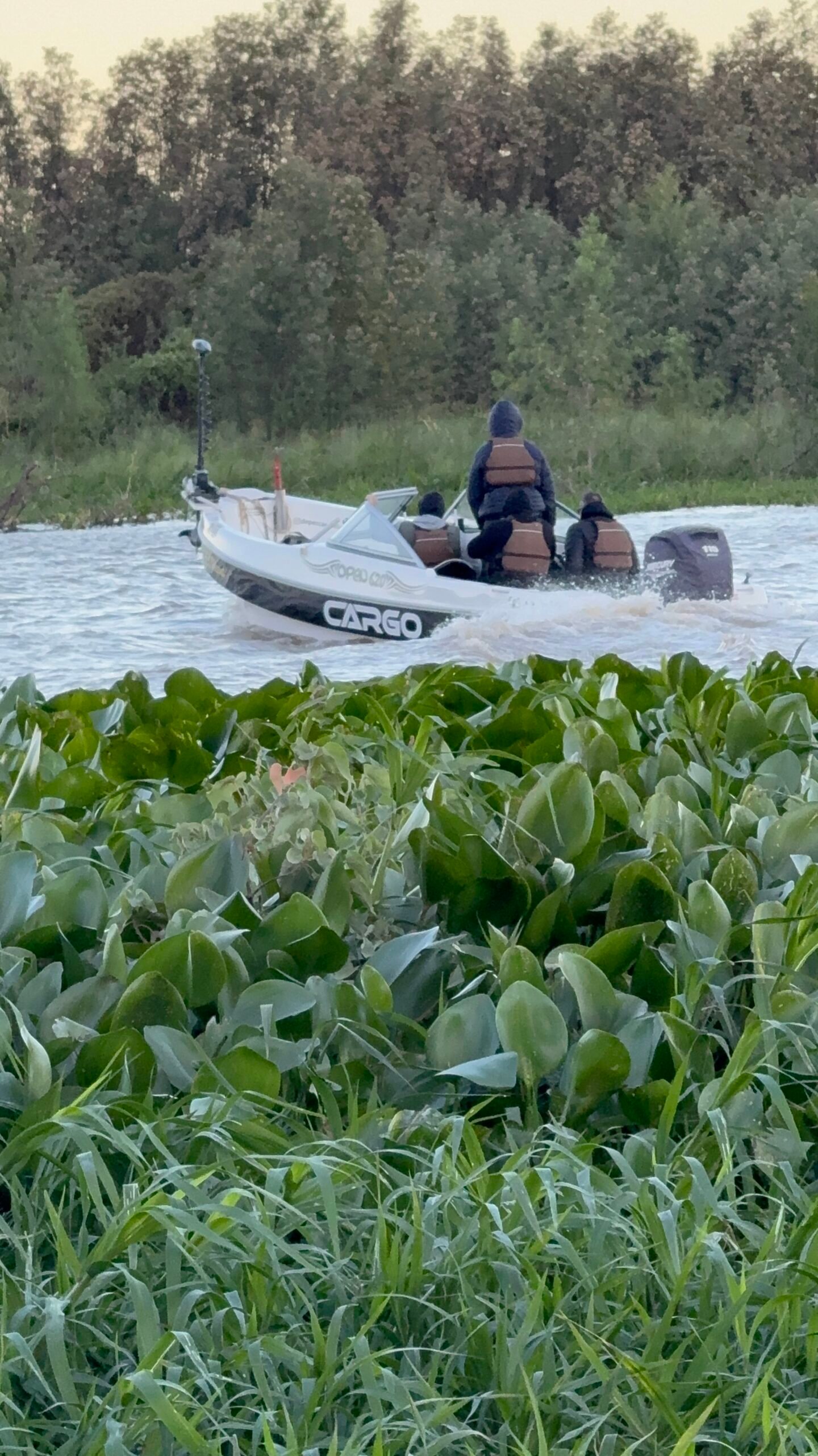 Lancha navegando entre la vegetación durante una jornada de pesca en el río Paraná
